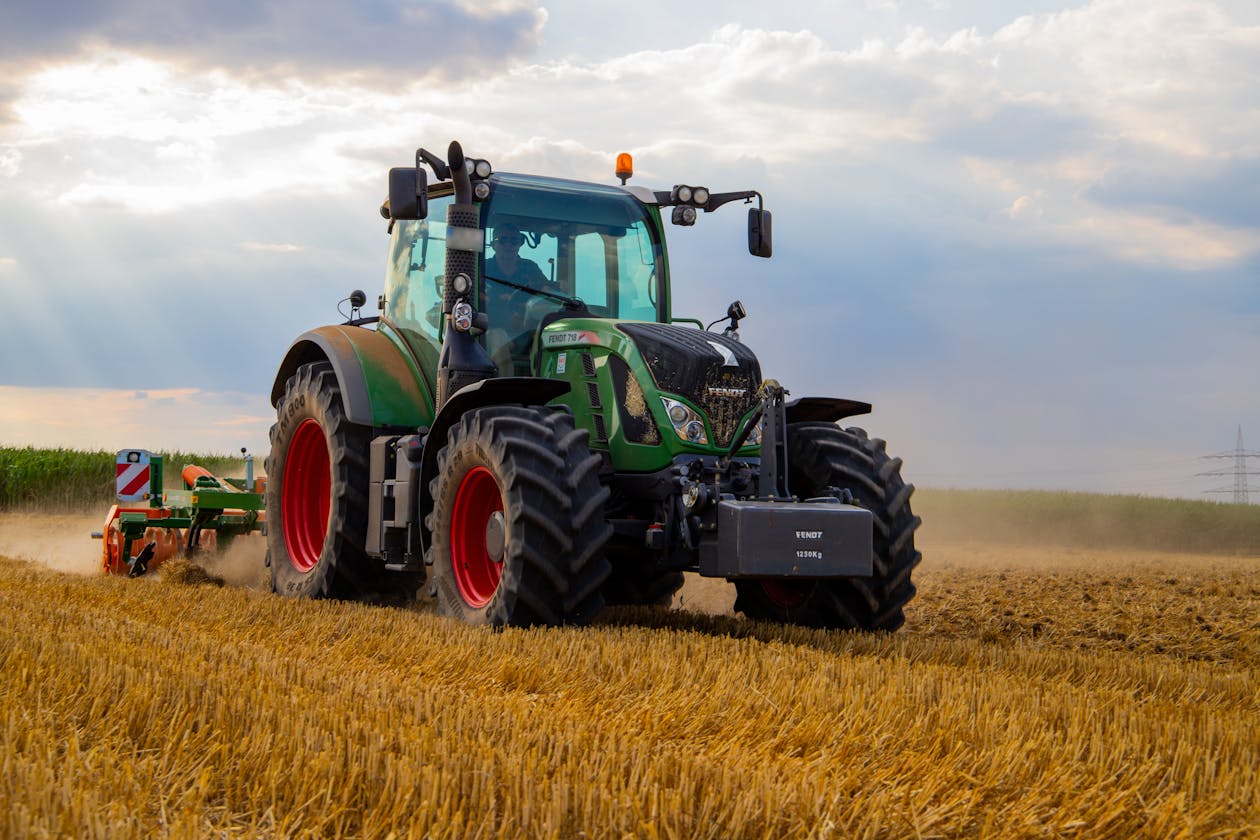 Champs agricoles au Togo finances par BTFA